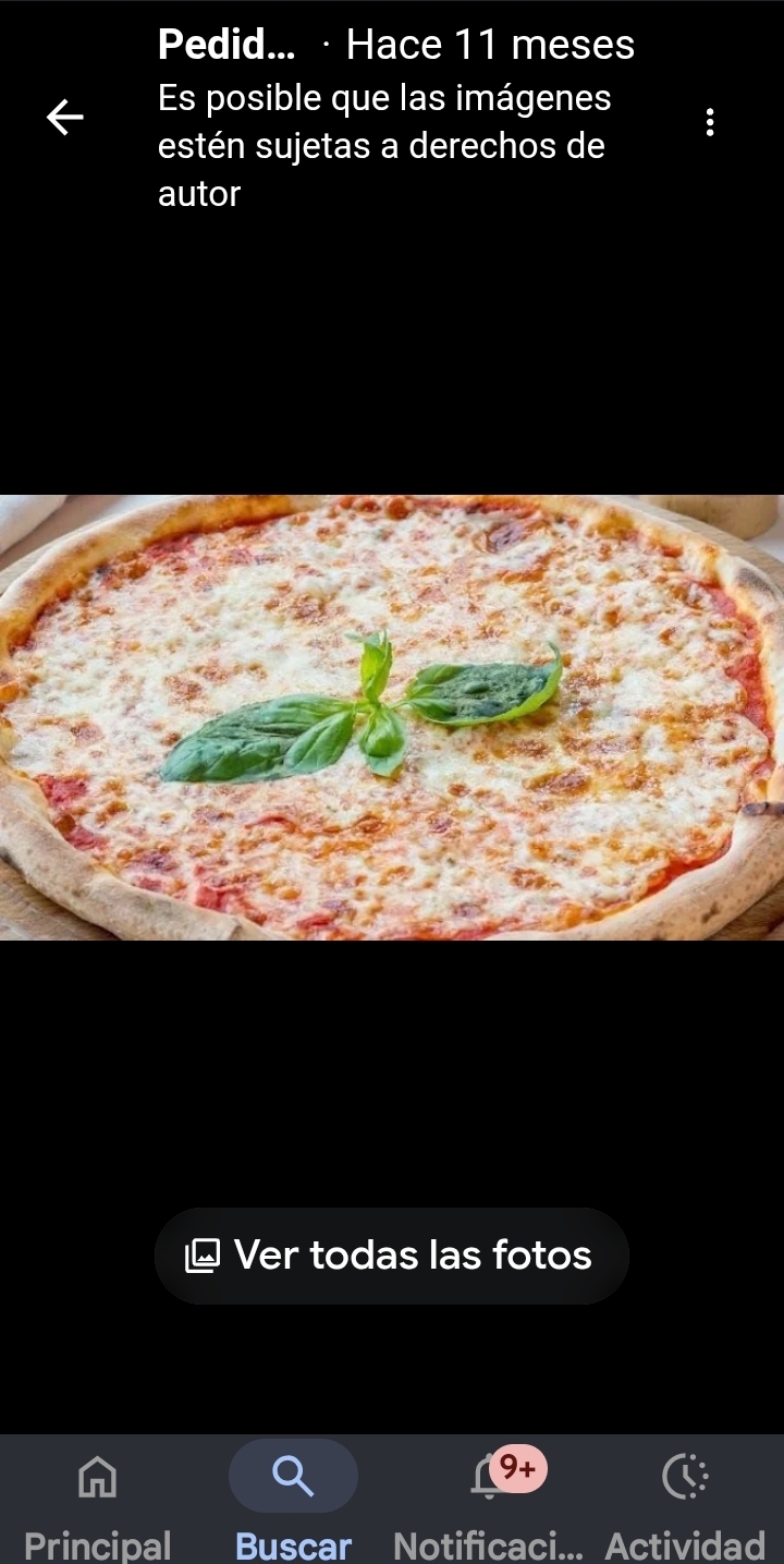 Pizza Margherita